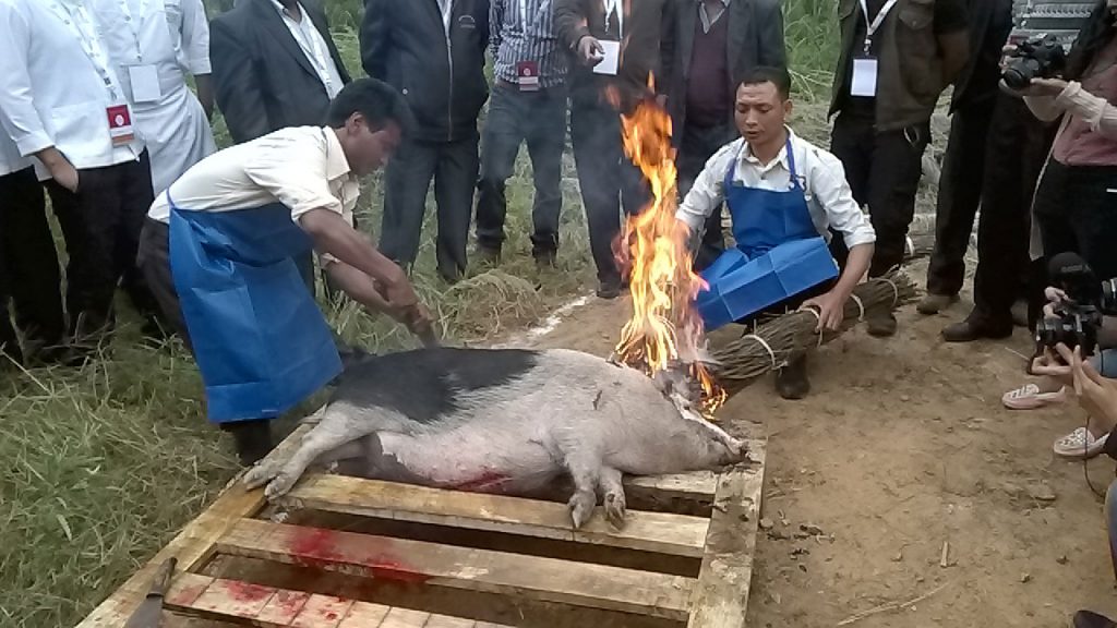 Indigenous Terra Madre: Indische Metzger schlachten ein Schwein