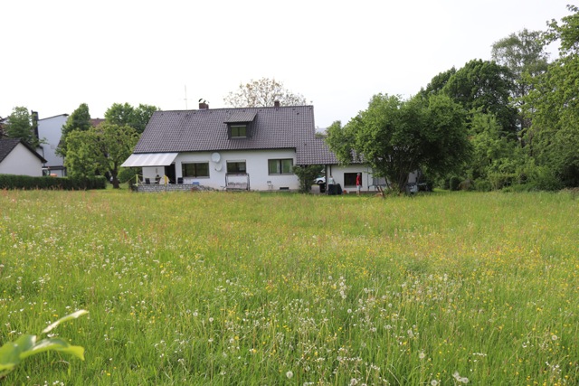 backside with terrace