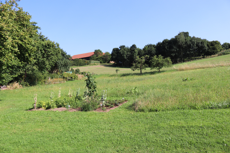 vegetable garden
