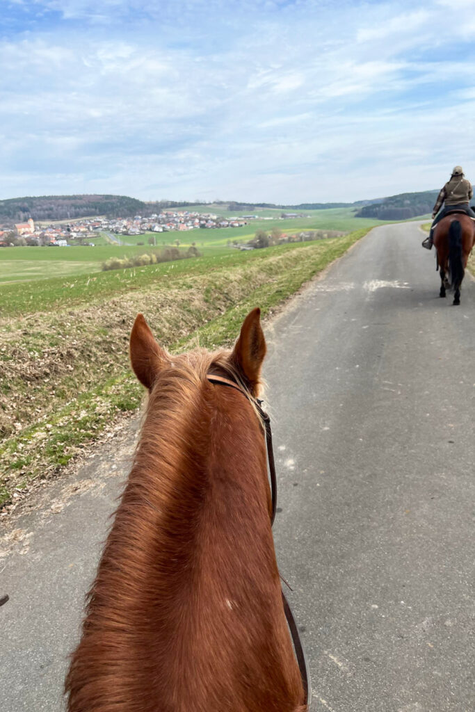 horseback riding