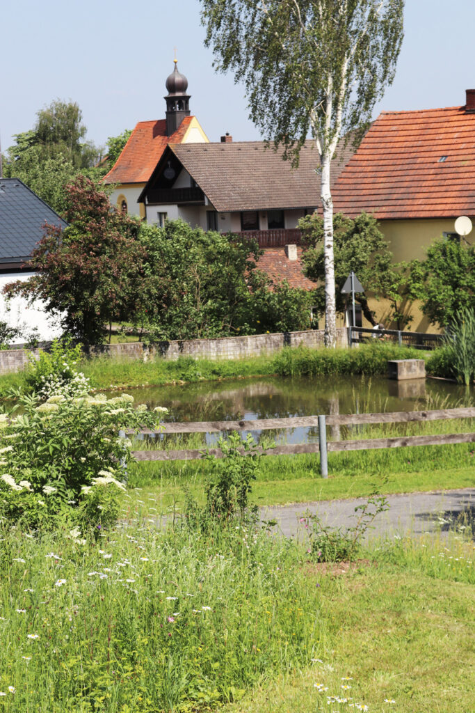 vew of the pond and the village